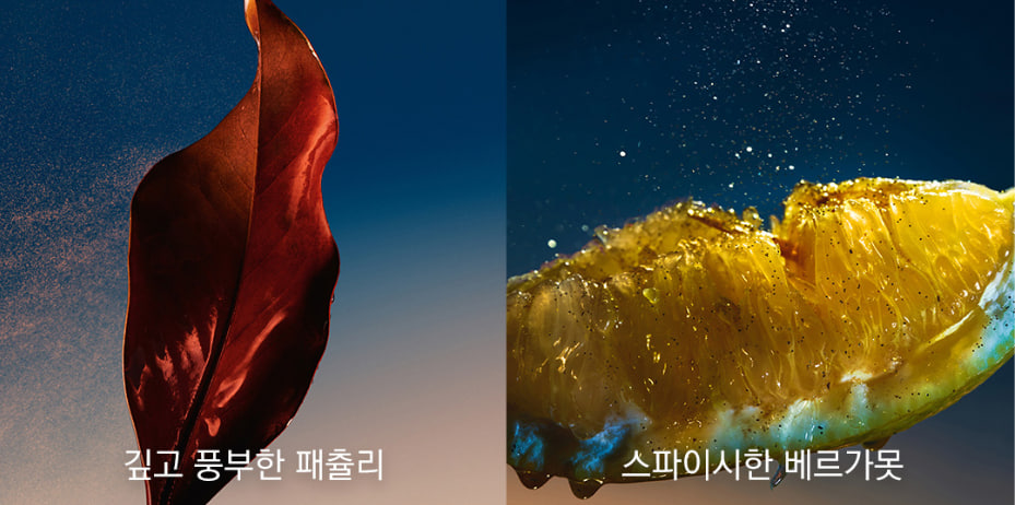 8af30202f0c6b5c45e4ffba46134cc36_1753886493_4193.jpg 8af30202f0c6b5c45e4ffba46134cc36_1753886493_4193.jpg